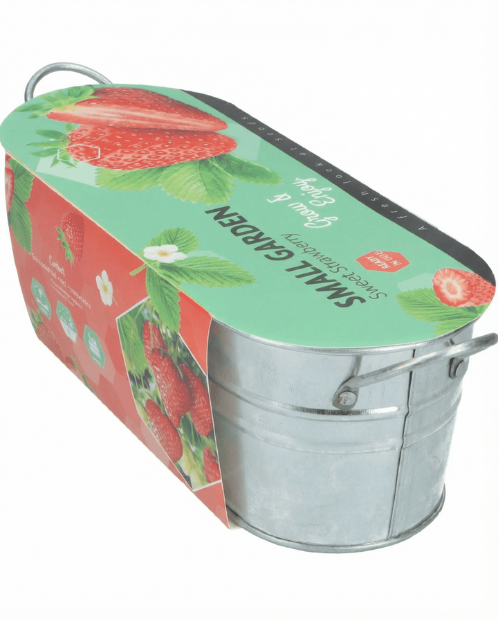 Sementes de Morangueiro Pendente (Fragaria ananassa) – perene
