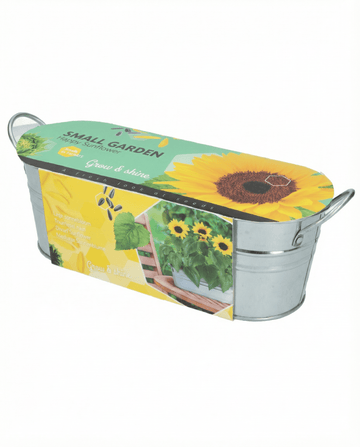 Dwarf Sunflower Low Growing seeds (Helianthus annuus) – flower