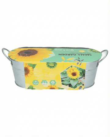 Dwarf Sunflower Low Growing (Helianthus annuus) – flower seeds from SeedsChoice