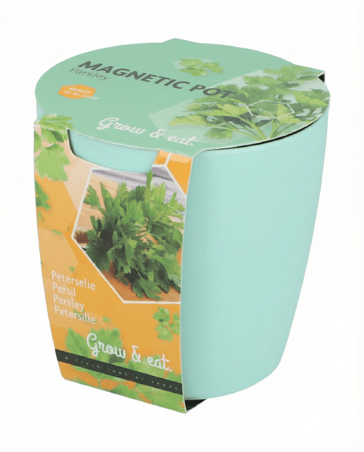 Semillas de surtido albahaca, cebollino y perejil (Ocimum basilicum) – kit de cultivo