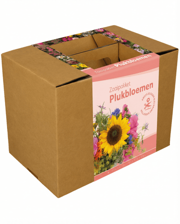 Sementes de mistura para buquês com fio e tesoura – kit anual