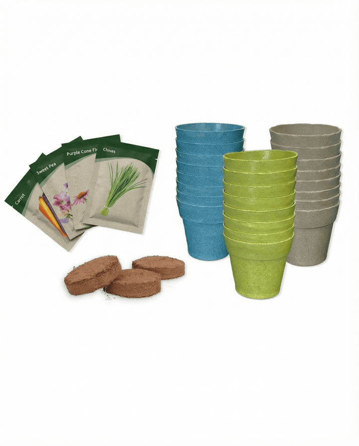 Sementes Calendário do Advento com 24 variedades sortidas – kit de cultivo