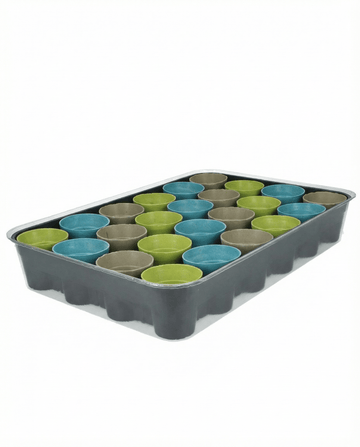 Calendário do Advento com 24 variedades sortidas – sementes de kit de cultivo da SeedsChoice