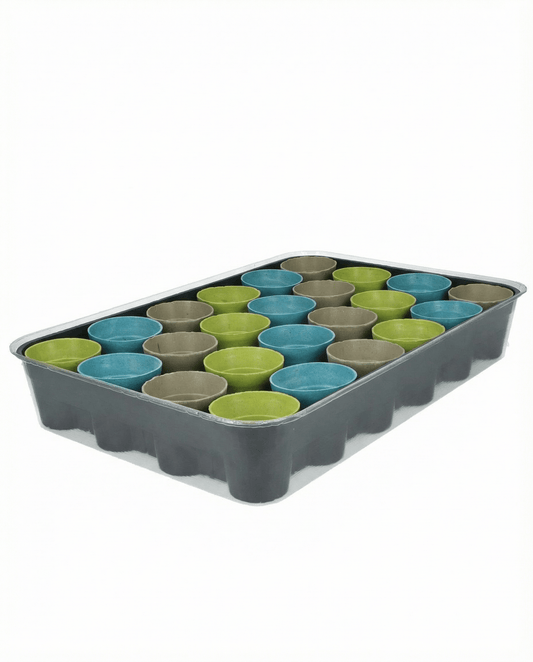 Calendário do Advento com 24 variedades sortidas – sementes de kit de cultivo da SeedsChoice