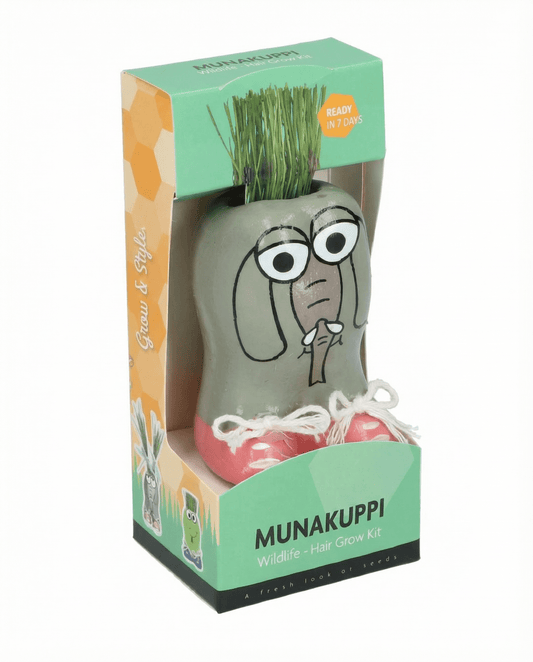 Hierba raigrás italiano (Lolium multiflorum) – kit de cultivo con semillas de SeedsChoice