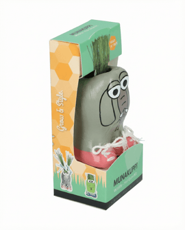 Semillas de raigrás italiano Lolium multiflorum kit de césped
