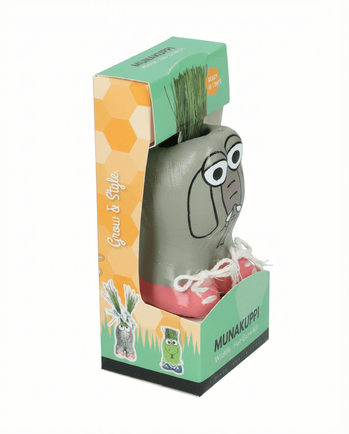 Semillas de raigrás italiano (Lolium multiflorum) – kit de cultivo
