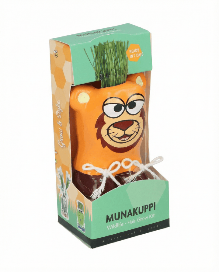 Sementes de azevém italiano (Lolium multiflorum) – kit de cultivo