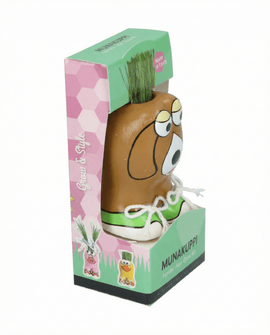 Kit de semillas de Lolium Multiflorum