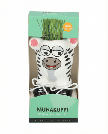 Lolium multiflorum – Relva Zebra cultivada a partir de semente