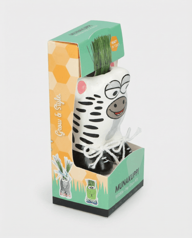 Sementes de Grass Zebra (Lolium multiflorum) – kit de cultivo
