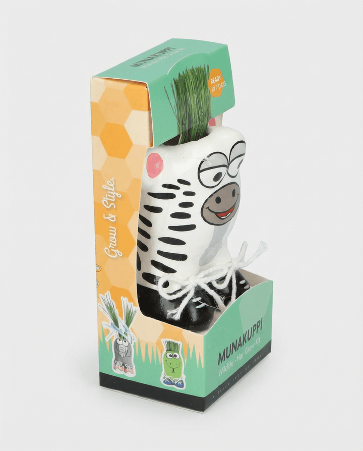 Sementes de Grass Zebra (Lolium multiflorum) – kit de cultivo