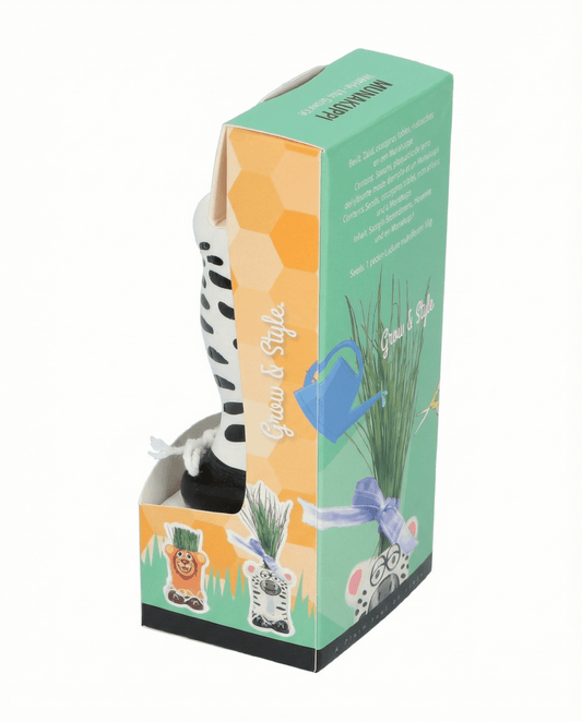 Grass Zebra (Lolium multiflorum) – sementes em kit de cultivo da SeedsChoice