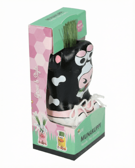 Sementes de azevém italiano Lolium multiflorum kit de relva para pastagem