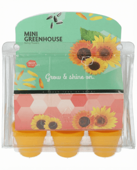 Sementes de Girassol Helianthus Annuus Kit Mini Estufa Vaso Girassol
