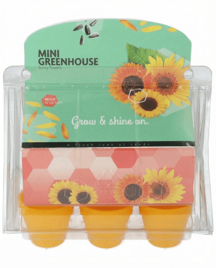 Sementes de girassol Mini Greenhouse Pot (Helianthus annuus) – kit de cultivo