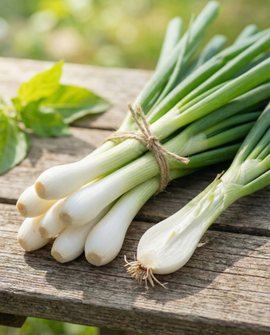 Fita de sementes de cebolinha White Lisbon Allium cepa anual 7,5 M