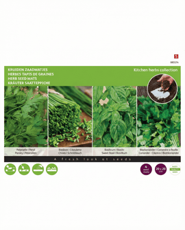 Tapetes de Sementes de Ervas Aromáticas Petroselinum Crispum Embalagem de 4 unidades 20x20 cm