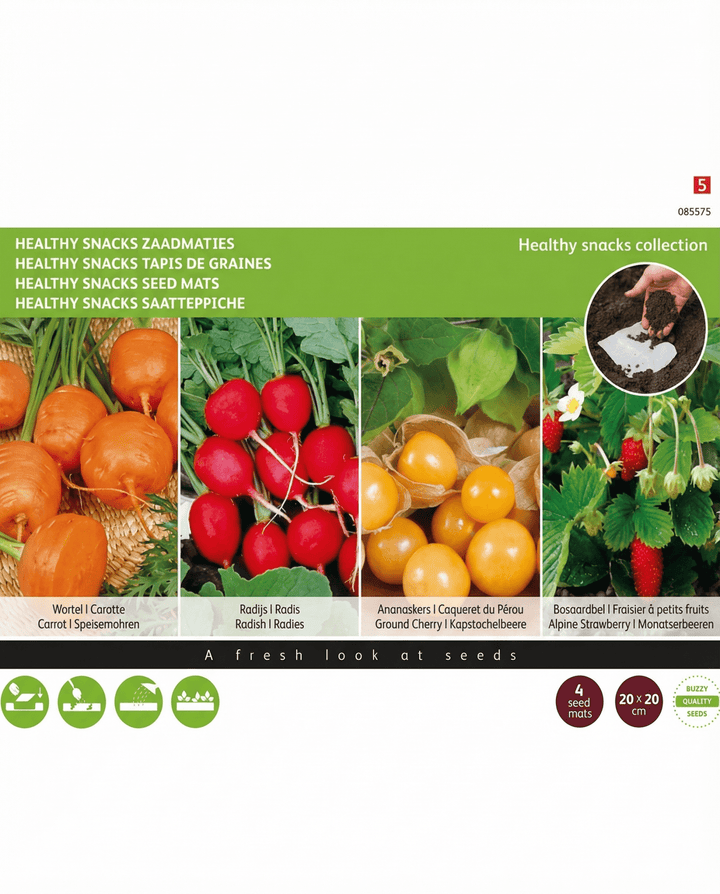 Tapetes de sementes Healthy Snacks 4 20x20 cm (Daucus carota) – tapetes de sementes