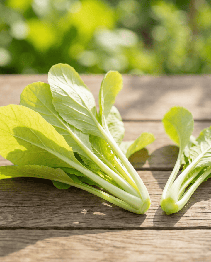 Sementes de Grelos de Nabo Amarelos (Brassica pekinensis) – hortícola anual