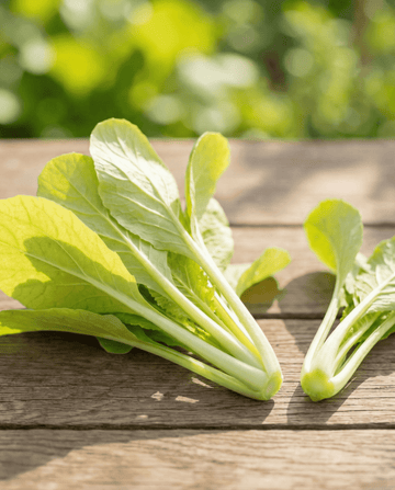 Grelos de Nabo Amarelos (Brassica pekinensis) – sementes de hortícola anual da SeedsChoice