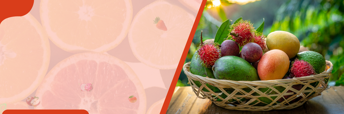 Frutos – banner em SeedsChoice
