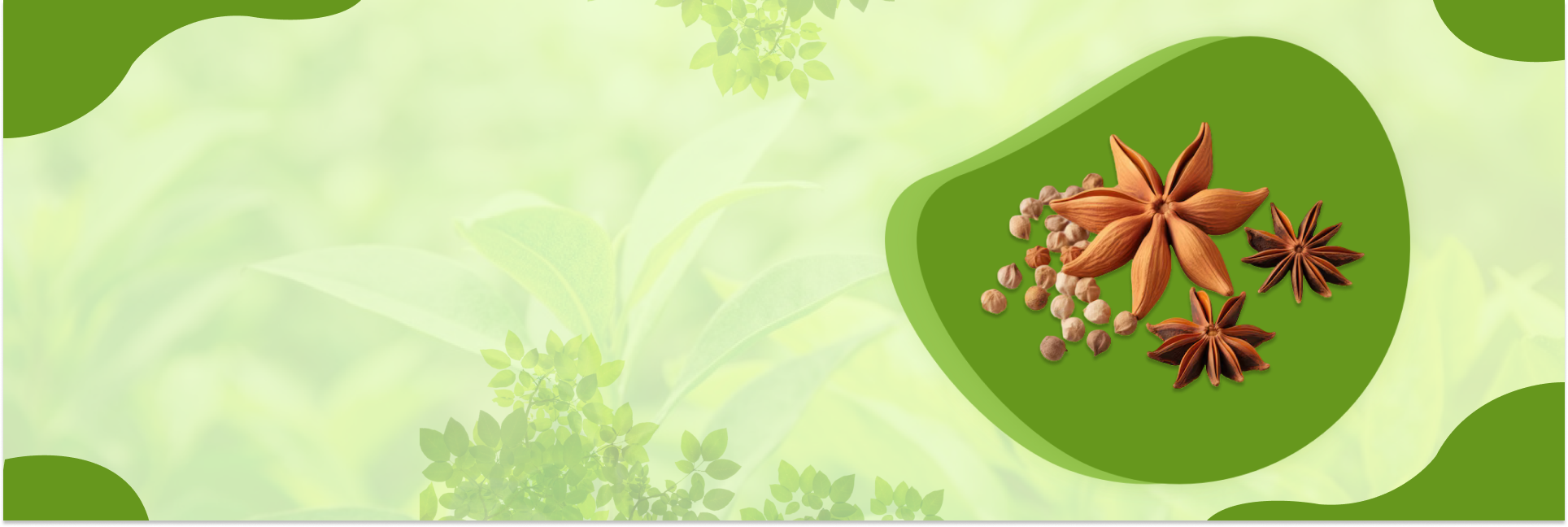 Biológico – banner em SeedsChoice