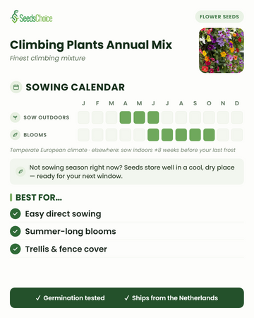 Calendario de siembra de Climbing Plants Annual Mix en un clima europeo templado: siembra directa de abril a junio, floración de junio a octubre; las semillas se conservan bien hasta la siguiente temporada de siembra