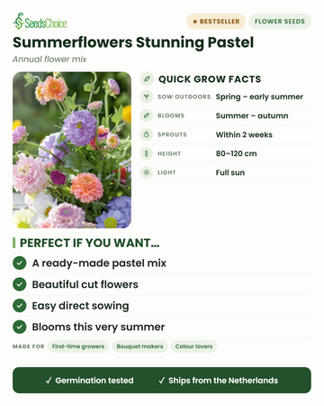 Informações rápidas sobre a mistura Summerflowers de tons pastel: sementeira direta da primavera ao início do verão, floração do verão ao outono, altura 80-120 cm, pleno sol — uma mistura de corte em tons pastel pronta a semear